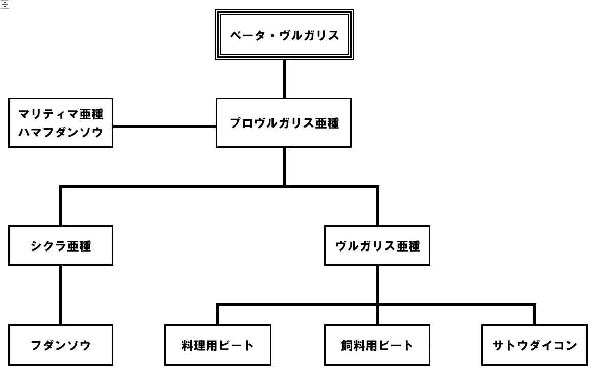 �r�[�g�̌n���}